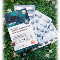 프로바이오틱스 17 캐나다 갱년기 유산균 다이어트 모유유산균 포스트바이오틱스 2개월분 bnr, 6개입(1년분) + 사은품 비타민D