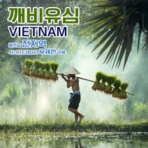 깨비유심 다낭 하노이 나트랑 베트
                    </div>
                </div>
            </div>
        </div>

    </article>
</section>
	<div class=