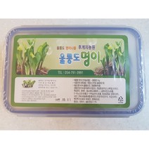 후계자농원 (울릉도 국내산 명이)울릉도 산마늘 명이나물 절임나물 장아찌 1KG, 울릉도명이, 1kg(하드케이스) 1개