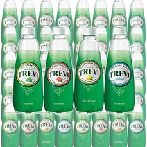 트레비 300ml 플레인 레몬 라임 x 20개 20pet 탄산수, 트레비 플레인 300ml x 20펫