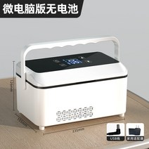 휴대용 소형 충전식 인슐린 냉장고 시약 보관함 의약품 약품냉장고 약 상자 박스, J 초고용량(배터리없음)을업그레이드하여가정용으로사용할수