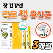 락토 생 유산균 장 건강 에 좋은 아기 유아 베베 키즈 딸기맛 어린이 비피더스균 가루 스틱 프로바이오 프로바이오틱스 아연 40대 임산부 중년 남성 50대 60대 여성 갱년기 약1달, 3박스