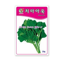 모칸도 제일 치마아욱20g, 1개