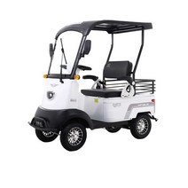4륜 전기 픽업 전동차 픽업용 투어 전동차 전기차, 800W 모터 + 60V 32A 리튬 배터리