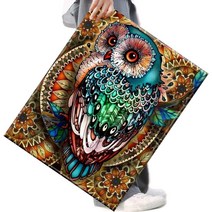 FASEN 사은품+액자 캔버스형보석십자수 DIY세트 라운드 비즈 40 X 50cm, FSE14.귀한부엉이