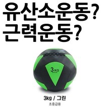 모든A 유산소 운동과 근력운동을 한방에 월볼 3Kg, 프로모릭스 월볼 3Kg
