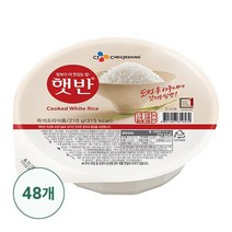 [제트스카이]CJ 햇반, 48개