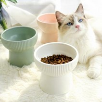 멍해묘해 강아지 밥그릇 고양이 물그릇 수반 도자기 세라믹 애견 식기 매트, 1개, 높은식기+그린