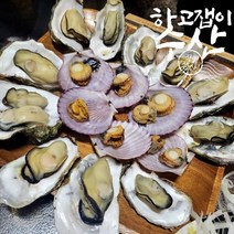 통영 한창수산 세척석화10kg (회초장증정)/평일오후1시이전주문건 당일발송, 1box, 10kg