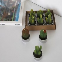 캔들공방 재료 워머 우드윅 석고 방향제 소이 테라리움 용기 미니, 5