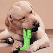 플로키 강아지 고양이 입냄새 제거 칫솔맛집, 중형견