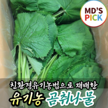 (국내산) 싱싱한 유기농 곰취 나물 생 노지 야생곰취 500g 1kg 봄나물 산나물 당귀 어수리 고추냉이잎 장아찌 나물 토종, 250g, 1개