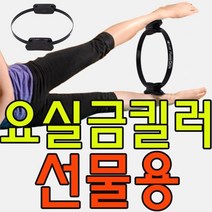 집체육 운동회물 아빠선물 되는 운동하기 W5D2549 도움 요실금도 체육교구 물 새학기용품 교회활동 체육대회물 운동기, KW 필라테스써클