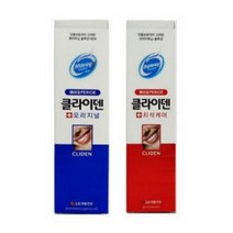 (디앤티)미백치약 구취제거치약 치석제거 잇몸치약 치은염 입냄새치약 개운한치약 건강한치약, LG페리오 클라이덴치약120g 치석케어