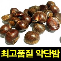 햇약단밤 1KG 칼집O 밤보관법 공주밤 밤삶기 옥광밤