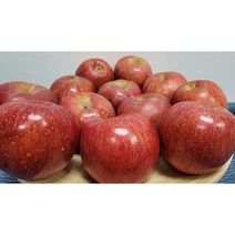 산지직송 부사 사과 껍질째 먹는 영주사과 선물용 5kg 10kg, 5kg가정용부사(13-15과)