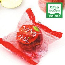 경북 의성 당도선별 세척사과 저탄소 홍로 부사, 1개, 정품 10kg 중과