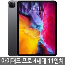 아이패드 프로 4세대(2세대) 11인치 128GB 256GB WiFi/셀룰러 기가 정품, 셀룰러