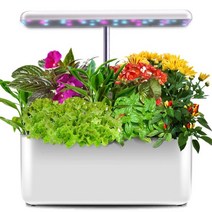 가정용스마트팜 ecoo 재배자 실내 식물 수경법 흙 없는 재배 식물 성장 자동 꽃 보육 pot for plant 자동 보육 스마트팜 21, 협력사, au 플러그 화이트