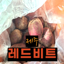 당일배송 국내산 2023년 산지직송 무농약 유기농 제주 레드비트 ABC주스 햇 레드비트 3kg 5kg, 5kg (특품), 1개