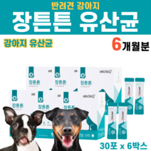 반려동물 강아지 개 멍멍이 댕댕이 낙산균 고초균 프로바이오틱스 유산균 장건강 100억마리 1000억마리 장트러블개선 프락토올리고당 발효 홍삼박 포도당 푸들 시츄 말티즈, 6박스