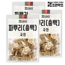 [조은약초] 국내산 건조 파뿌리 파뿌리차 총백 대파차 300g x 3, 상세 설명 참조, 상세 설명 참조