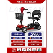 노인전동차 전동카 어르신 소형전기차, 24V, 20Ah 리튬 배터리70마일250W