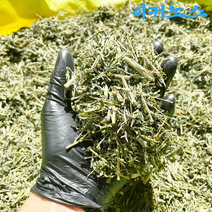 이커노스 국내산 세척 건조 야관문 비수리, 1개, 300g