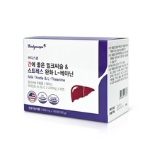 바디스콥 간에 좋은 밀크씨슬 & 스트레스 완화 L테아닌 1 000mg 160정 밀크씨슬 추출물 테아닌 나이아신 실리마린 130mg, 단품, 단품