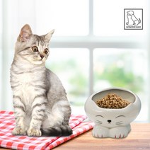 반려동물 밥그릇 강아지 고양이 물그릇 물통 도자기 세라믹 식기 수반, 1개