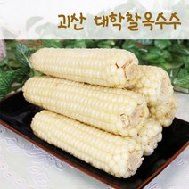 수확후바로삶은 괴산 대학찰옥수수 15개(3개씩포장), 없음, 상세설명 참조