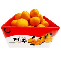 제주 천혜향 -가정용 벌크- 5kg (대) 18~21과, 1개