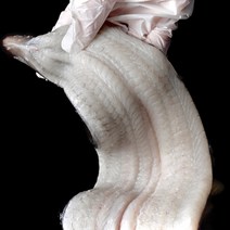 정성백 프리미엄 자포니카 손질 민물 장어 구이용 1kg, 1kg(손질후600g), 1개