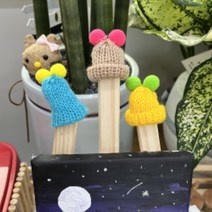 스투키화분모자 5개