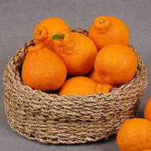 제주 한라봉 가정용 사이즈혼합 9kg, 없음
