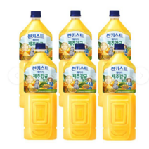 해태 썬키스트훼미리 제주감귤 2Lx12개, 12개, 2L