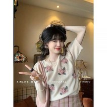 반팔 풀오버 스웨터 여하 프렌치 디자인 소소 소프트 밀랍 이너 티셔츠 작은 키 상의 데일리룩 원색 고급