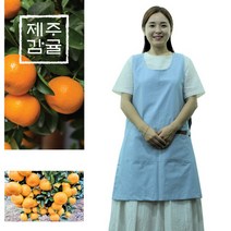 산지직송 제주도 한라산 농장 새콤달콤한 감귤 10kg 당일수확 밀감, 상세페이지 참조