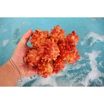 남해안 통영 제철 활멍게 / 깐멍게 500g 1kg 2kg, 활멍게 1kg 15미내외