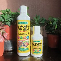 하이포넥스 리키다스 식물영양제 활력 제 칼슘 비료 발근제 석회 해거름 수산화 오스모코트, 450ml, 1개