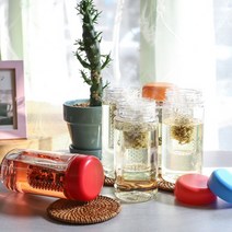 국산(친환경) 마이보틀 그린티 트라이탄 보틀 제작, 500ML 그린티 오렌지 MY BOTTLE