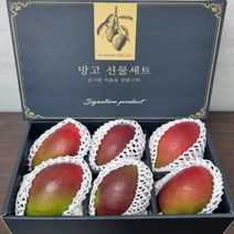 수입 브라질 애플망고 6과 9과 선물세트, 애플망고 6과 선물세트 보자기포장