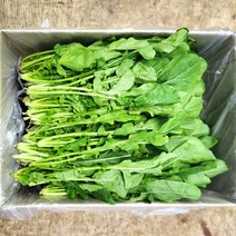 루꼴라 100g