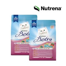 비스트로 캣 키튼 2KG 2팩 총 4KG/무료배송