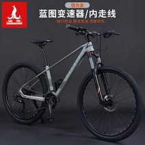 성인 로드 자전거 피닉스 마그네슘 합금 산악 가변 속도 오일 디스크 브레이크 남성 및, 26인치, xt700 마그네슘 합금 청사진 가변 속도 라이트, 24단