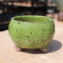 S5 녹색 점박이 다육화분 수제화분 인테리어화분