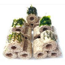 프리미엄모스3구 체리생이새우어항꾸미기 초보음성수초키우기, 물미역모스 갓활착