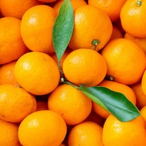 [엄지척농산물] 당도선별 제주 햇 노지 감귤 타이벡, 1박스, 제주감귤 5kg 소과(2s)