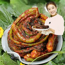 종말이 곽진영 갓김치 5kg 여수 돌간갓, 1박스