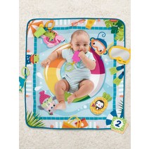 피셔프라이스 홈캉스 포토존 워셔블 아기 체육관